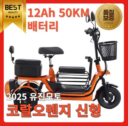 어르신전기자전거 유진모토