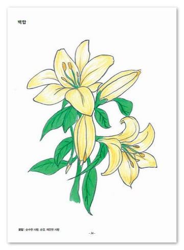 치매예방 색칠공부 어르신 기억력 강화를 위한 색칠공부 꽃