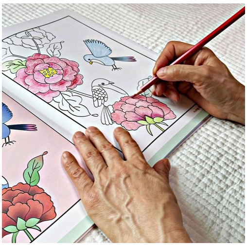 치매예방 색칠공부 어르신 색칠공부 기억력 강화 추억회상 인지향상 꽃